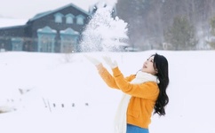 整篇都是车的男女主文推荐